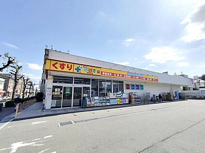どらっぐぱぱす練馬田柄店 490ｍ(徒歩7分)