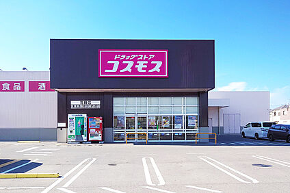 ドラッグストアコスモス花田店 745m(徒歩10分)