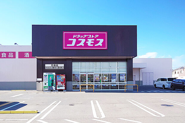 ドラッグストアコスモス花田店(約745m)