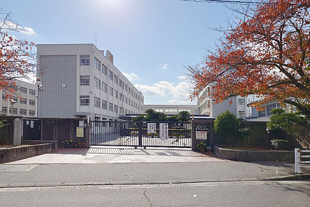 曽左小学校(約1,300m)
