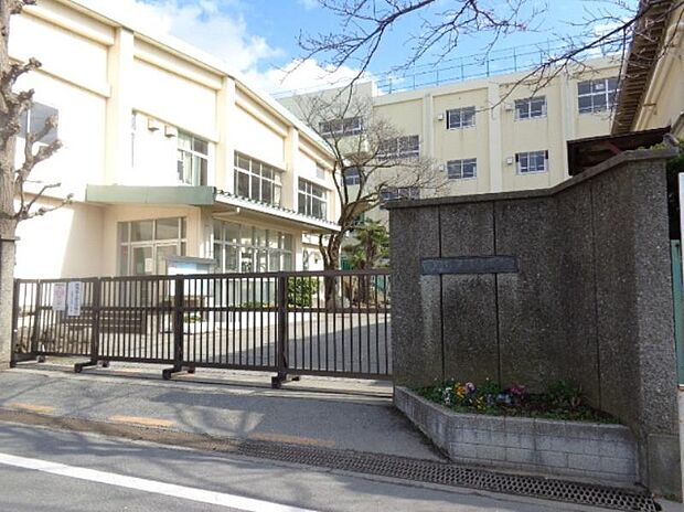 市川市立信篤小学校（約761m）