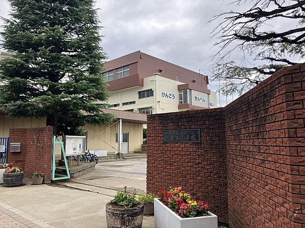 川口市立並木小学校