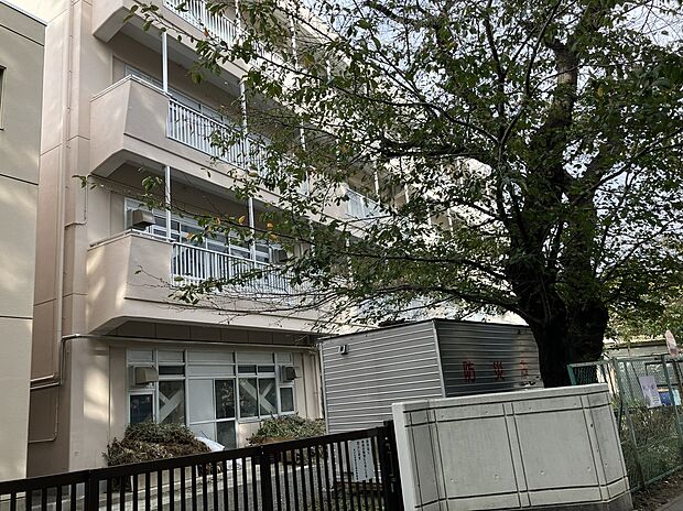 さいたま市立大成中学校