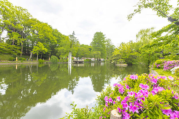 石神井公園