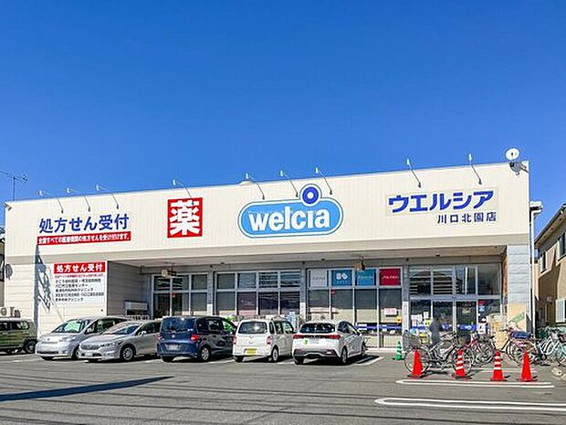 ウエルシア川口北園店（約900m）