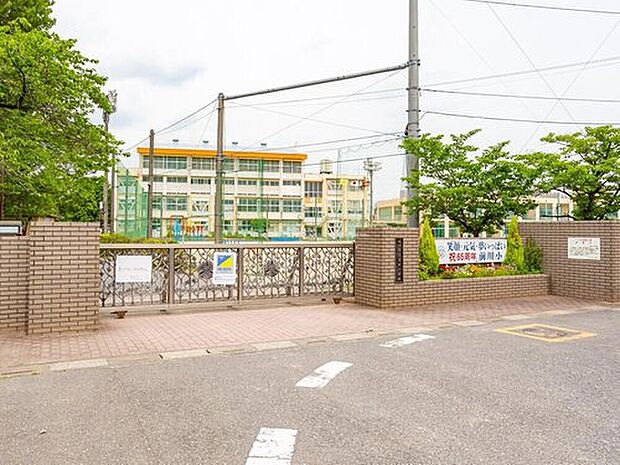 川口市立前川小学校（約170m）