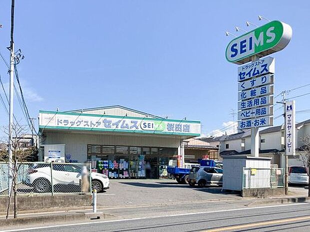 ドラッグセイムス桜田店(約500m)