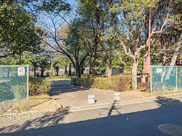 馬場東公園（約800m）