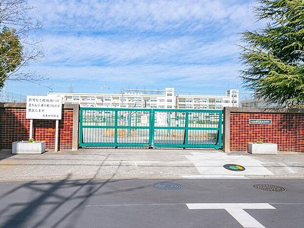 川口市立芝東中学校（約500m）