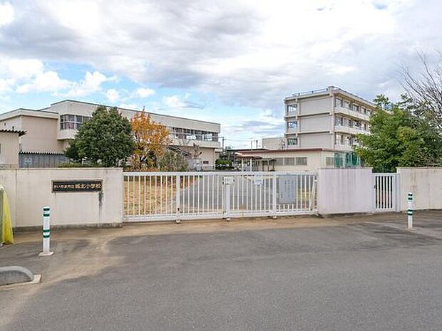 さいたま市立城北小学校(約400m)