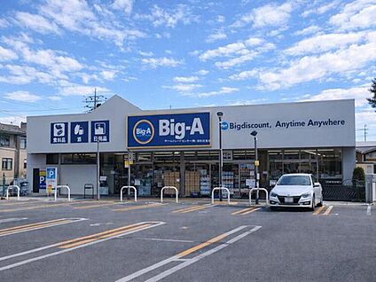 ビッグエー さいたま新堤店 800m(徒歩10分)
