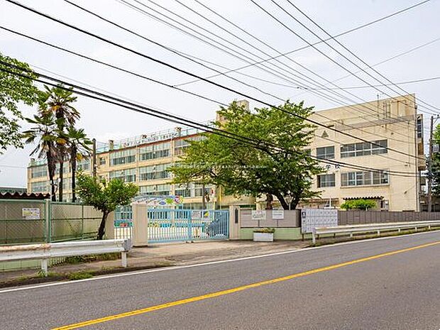 川口市立上青木小学校(約375m)