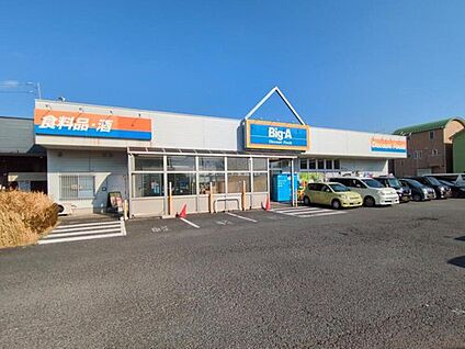 ビッグ・エー 川口新井町店 800m (徒歩10分)