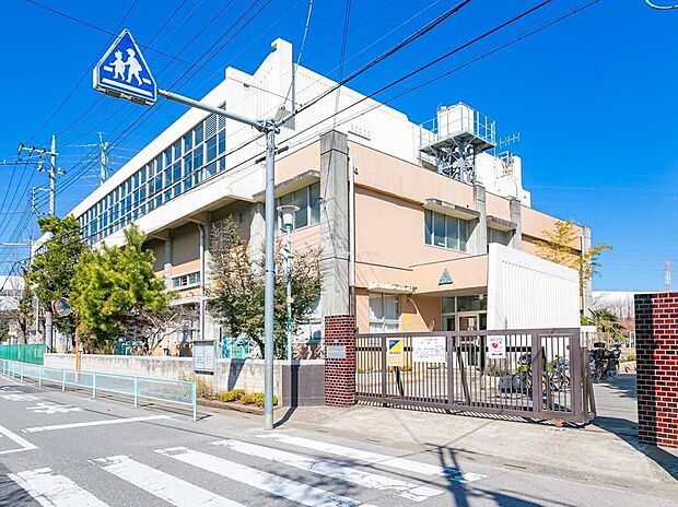 川口市立芝西小学校(約450m)