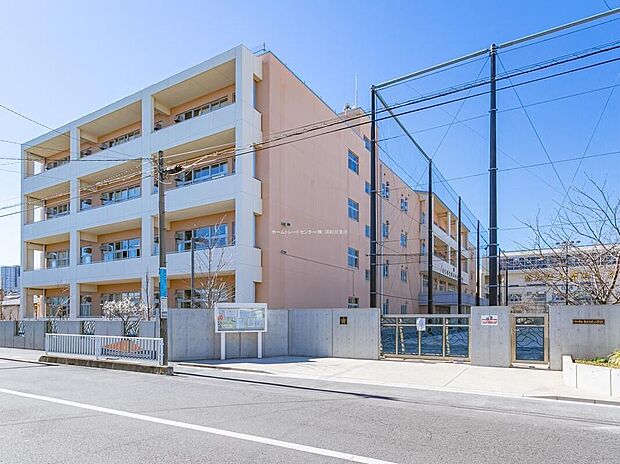 川口市立青木中央小学校(約240m)
