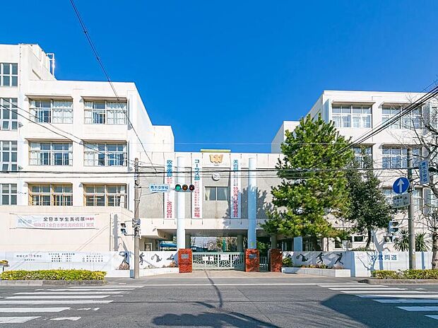 川口市立青木中学校(約900m)