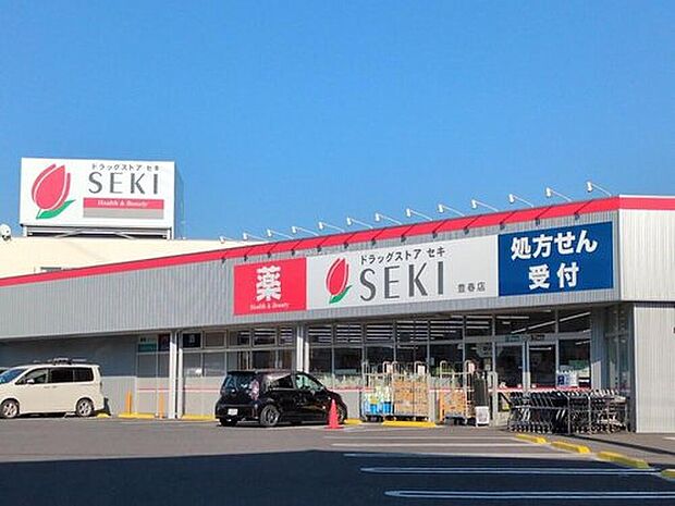 ドラッグストアセキ豊春店（約1,300m）