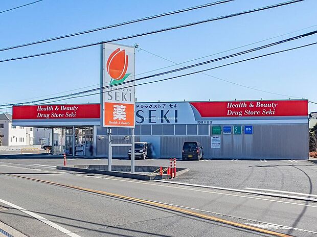 ドラッグストアセキ岩槻太田店(約1,300m)