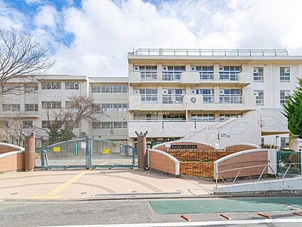 さいたま市立島小学校 1000m(徒歩13分)