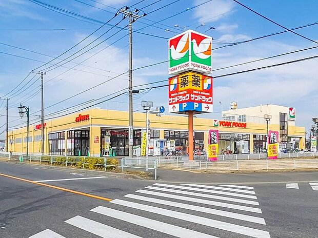 ヨークフーズ東岩槻店（約550m）