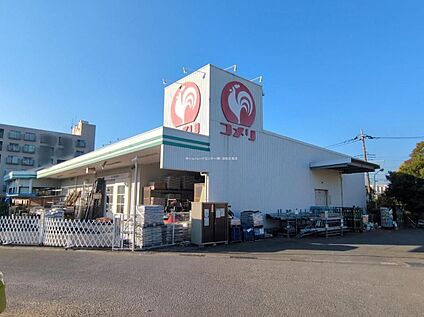 コメリハード＆グリーン根岸店 250ｍ(徒歩4分)