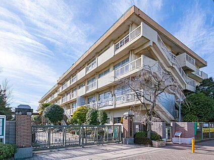 さいたま市立田島小学校 1000m(徒歩13分)