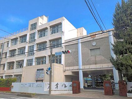 川口市立青木中学校 981m (徒歩13分)