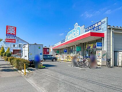 ウエルシア川口伊刈店 500ｍ(徒歩7分)