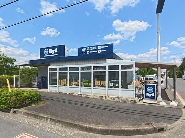 ビッグエー さいたま芝原店(約550m)