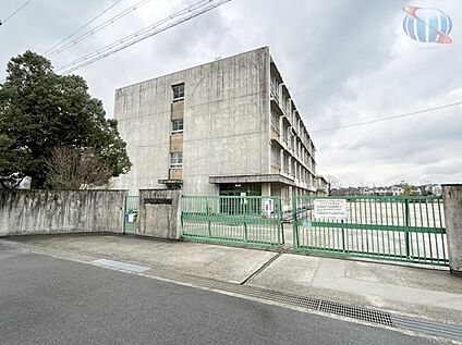 枚方市立杉中学校 1000m(徒歩15分)