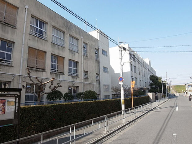 大阪市立今市中学校(徒歩320分)
