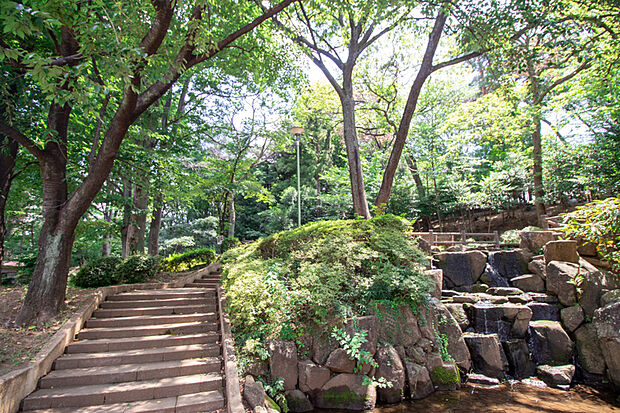 滝の根公園（現地より徒歩8分）