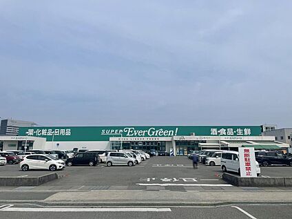 スーパーエバグリーン宮前店 約1040m(徒歩13分)