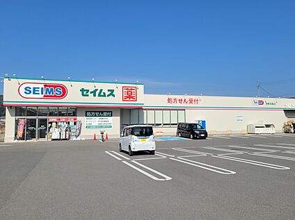ドラッグセイムス海南名高店 約320m(徒歩4分)