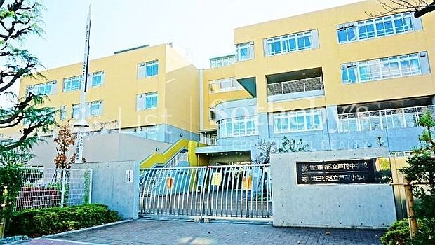 世田谷区立/芦花中学校（約300m）