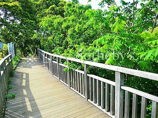 水沢の森・西公園(約300m)
