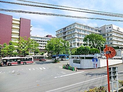聖マリアンナ医科大学病院 1300m