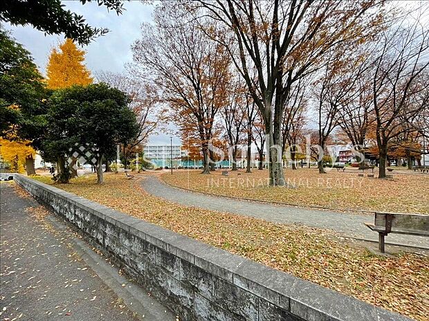 平間公園（約290m）