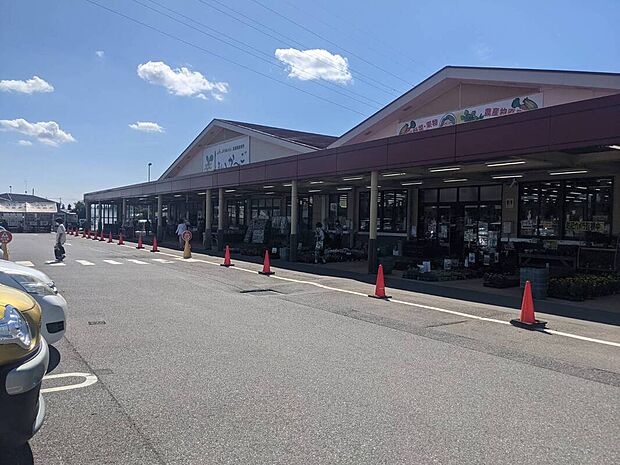 JA千葉みらい しょいか～ご 千葉店（約1,700m）