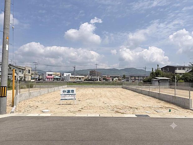 2号地の南側道路から撮影