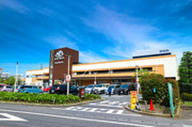 スーパーアルプス 日野店