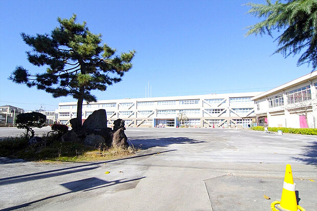 立川市立第五小学校（約917m）