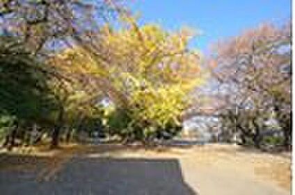 昭和公園 約1724ｍ