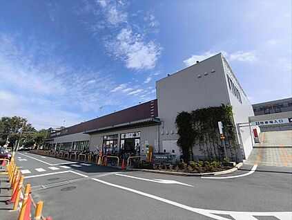いなげや国分寺東恋ヶ窪店 約910ｍ