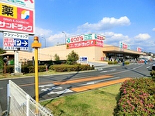 エコスTAIRAYA中神店