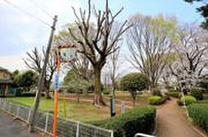 若葉公園 950ｍ