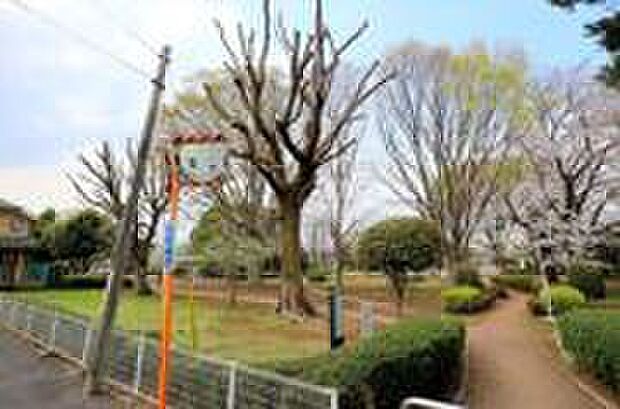 若葉公園(約950m)