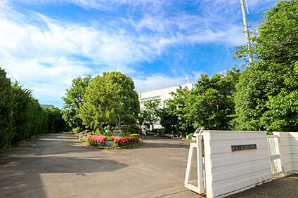 府中市立南町小学校 約1,100ｍ(徒歩約13分)