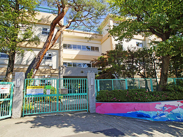杉並区立大宮小学校(約250m)
