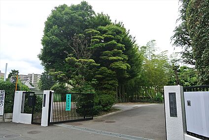 関町白百合幼稚園 約510ｍ(徒歩約7分)